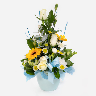 Baby Boy Pot - A floral creation for the new addition, made up of blooms in shades of yellow and white.
